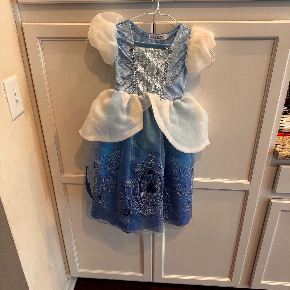 Cinderella Inspired Dress Up Outfit
